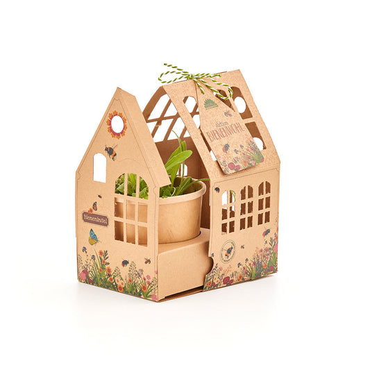 Gewächshäuschen "Bieneninsel"