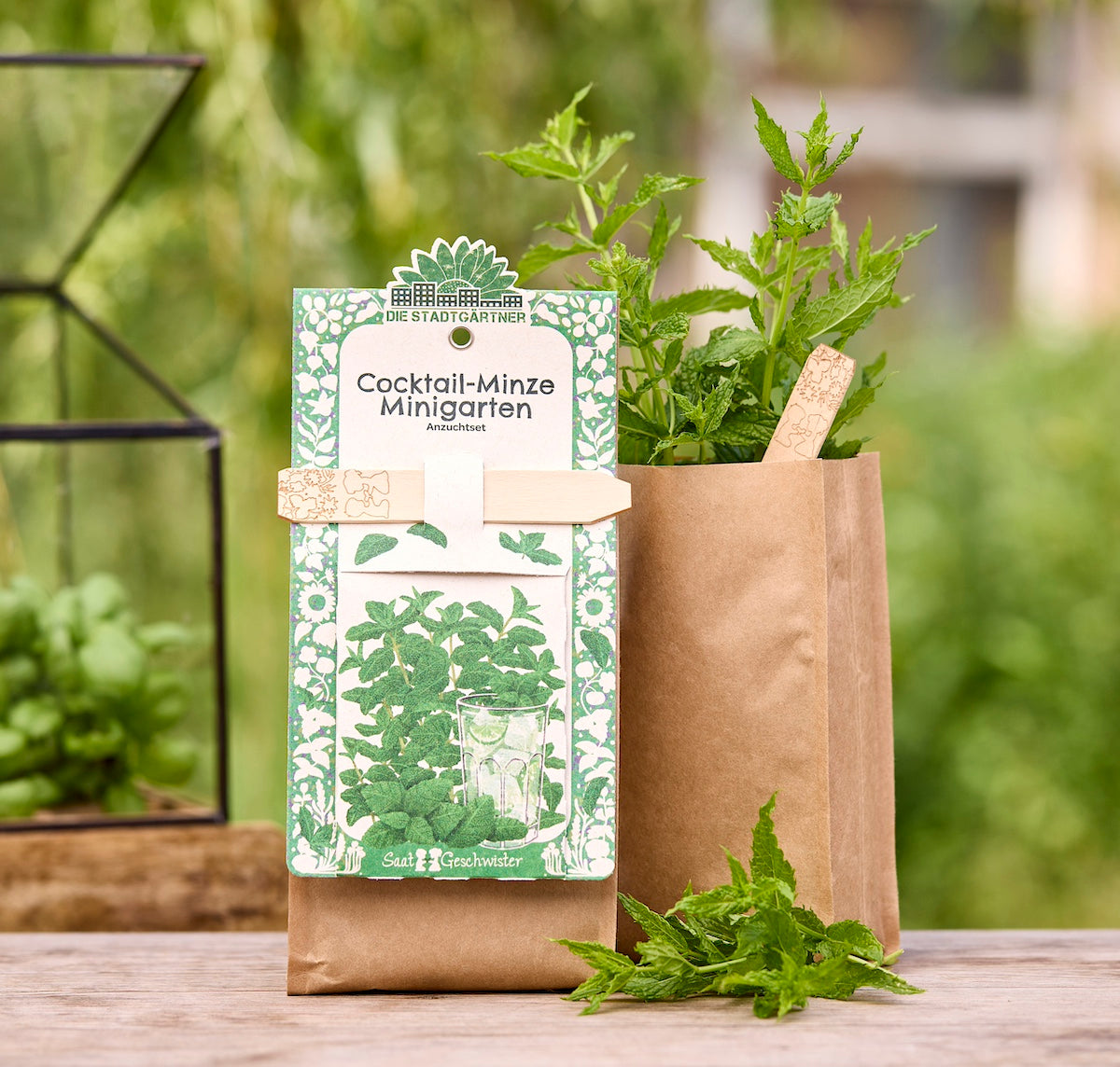 Anzuchtset – Minigarten Cocktail Minze