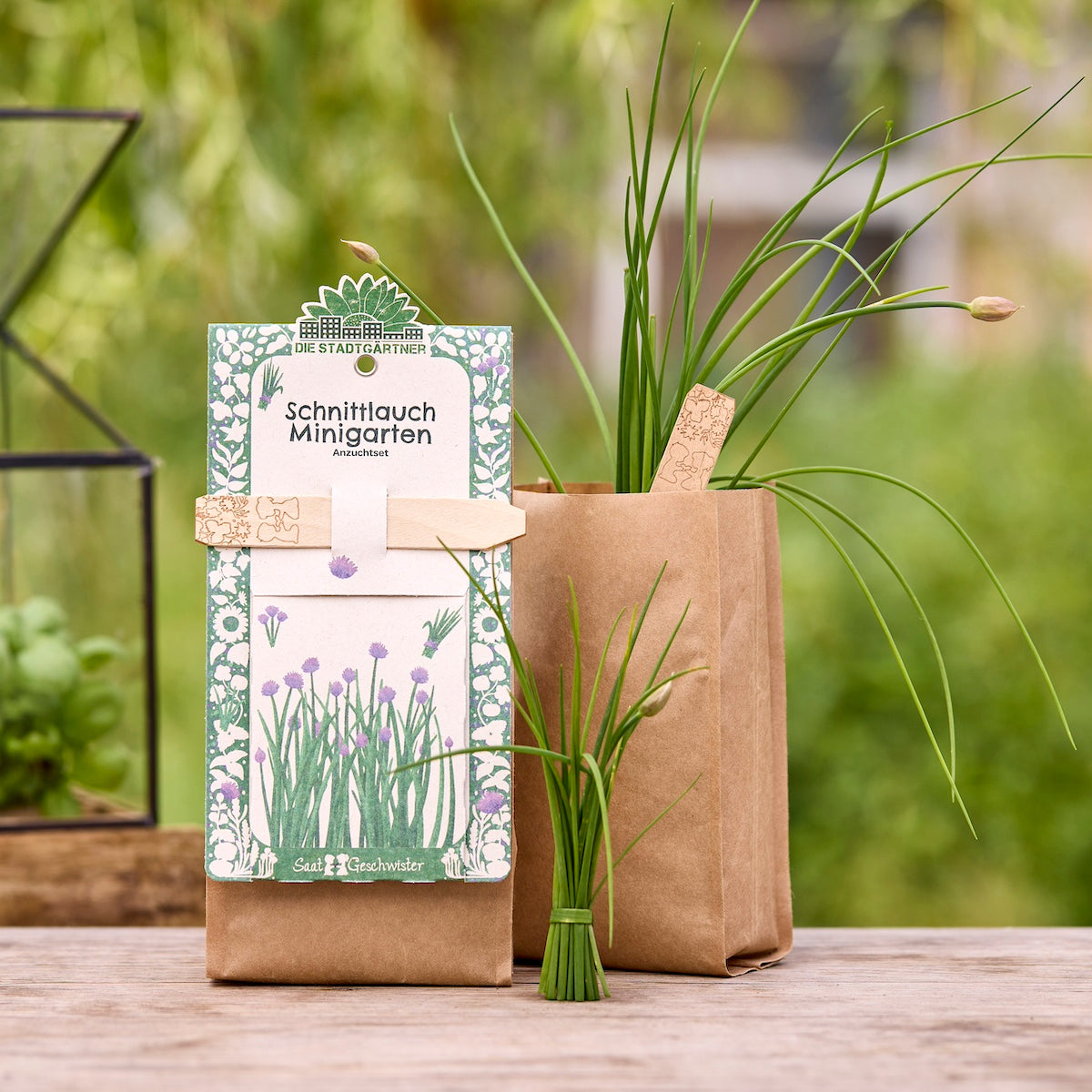 Anzuchtset – Minigarten BIO-Schnittlauch