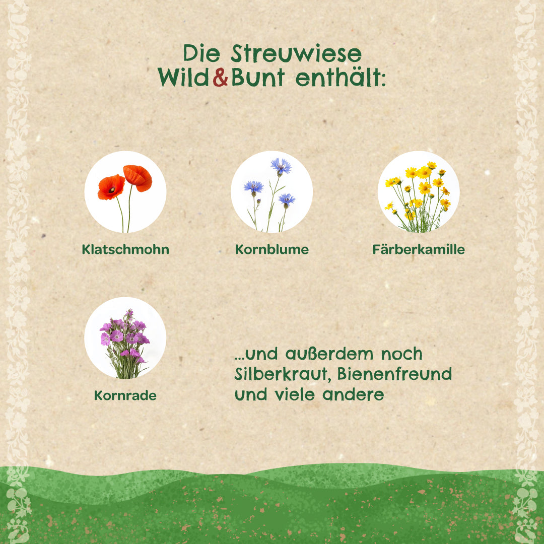 Streuwiese "Wild & Bunt"