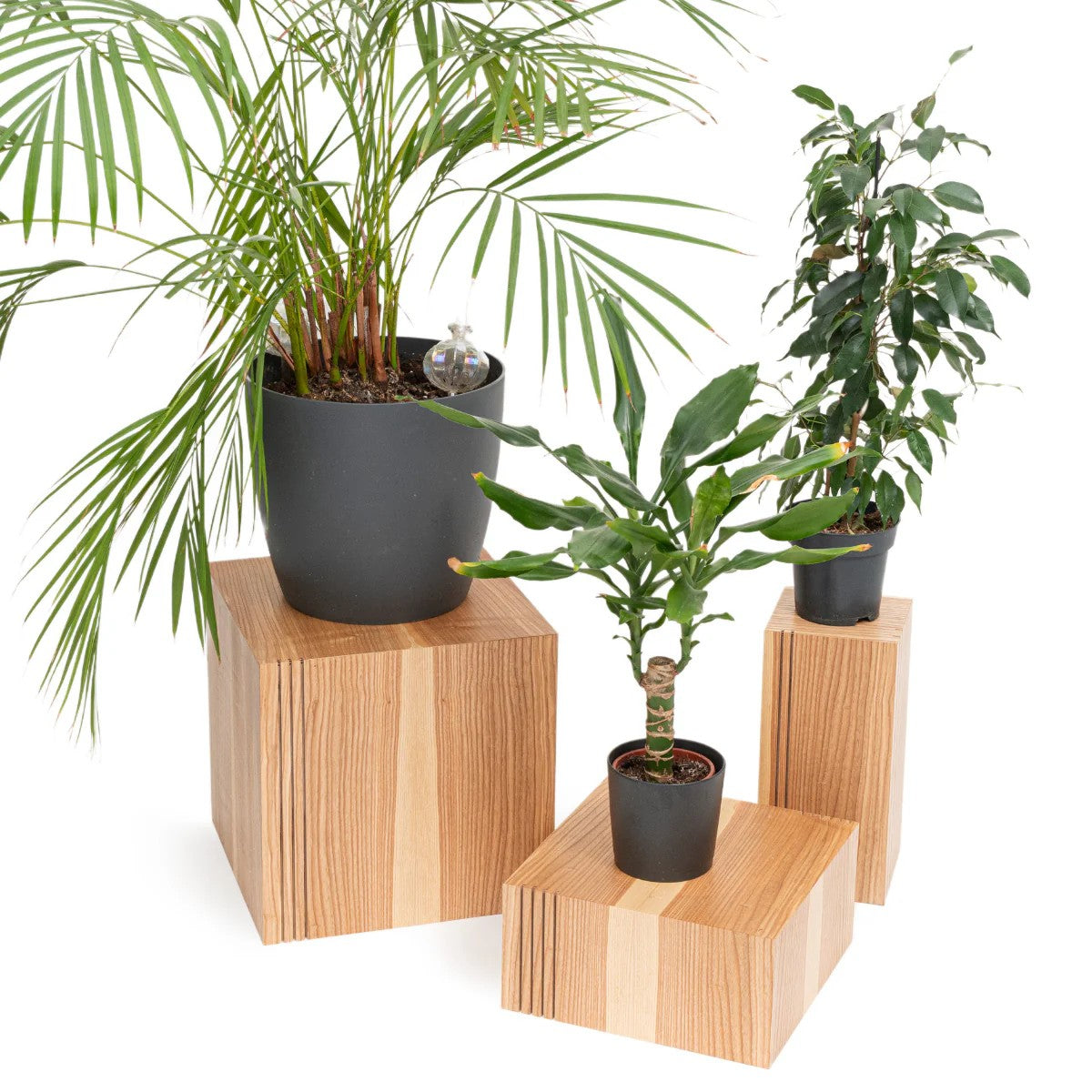Floor Planter Podium Wooden Cubes (Set of 3)