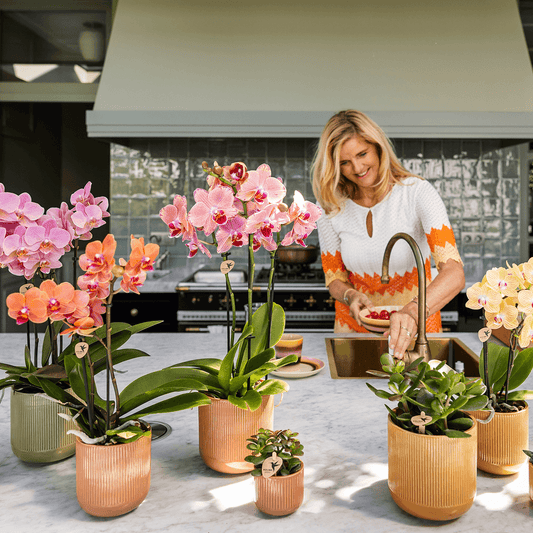 Kolibri Home | Flare Dekotopf - Ocher - Ø6cm