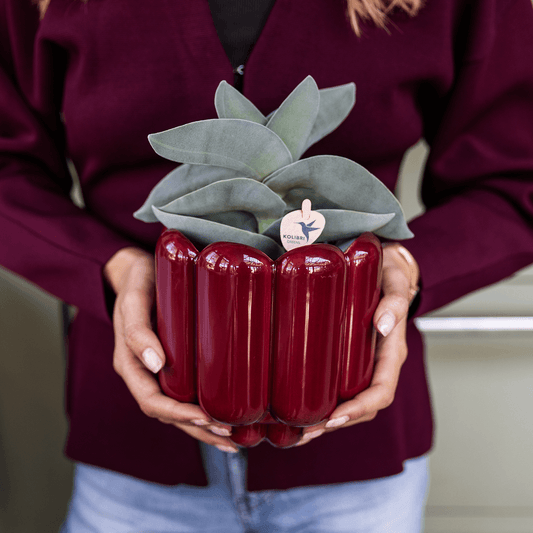 Kolibri Home | Retro Shine Übertopf - Red - Ø12cm