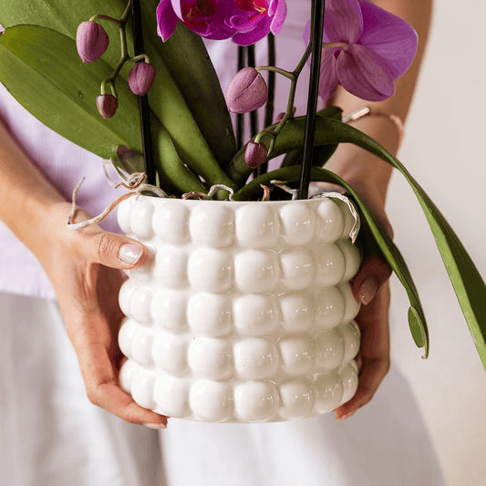 Kolibri Home | Poppy Ziertopf - White - Ø9cm
