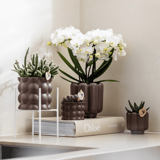 Kolibri Home | Cotton sierpot - Brown - Ø6cm