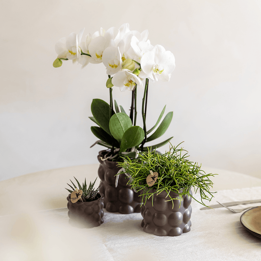 Kolibri Home | Cotton sierpot - Brown - Ø9cm