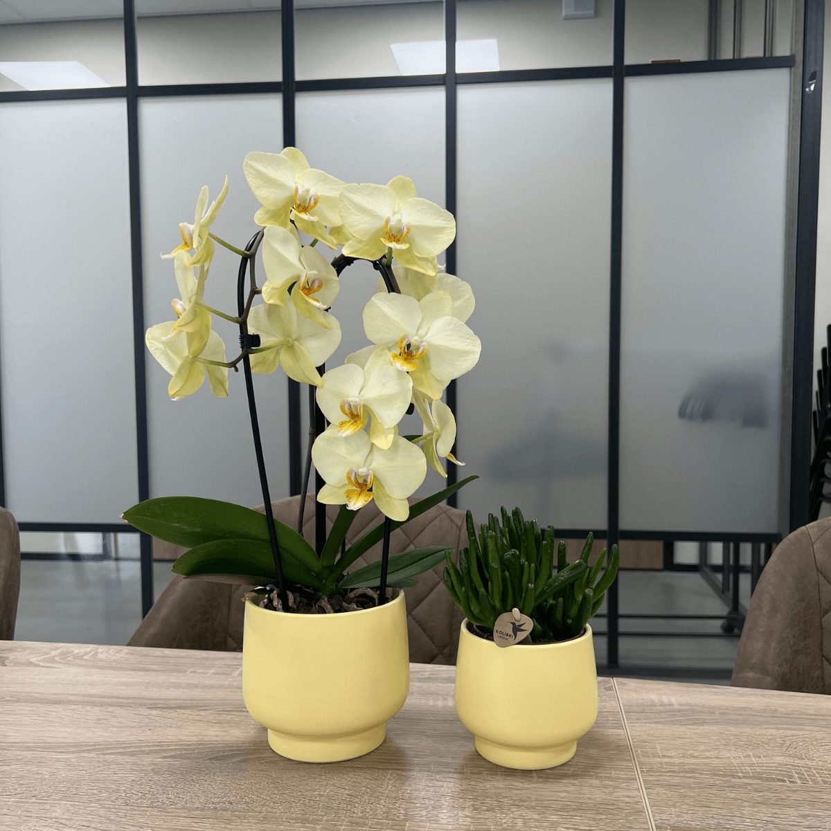 Scandic Blumentopf - Yellow - ⌀9cm