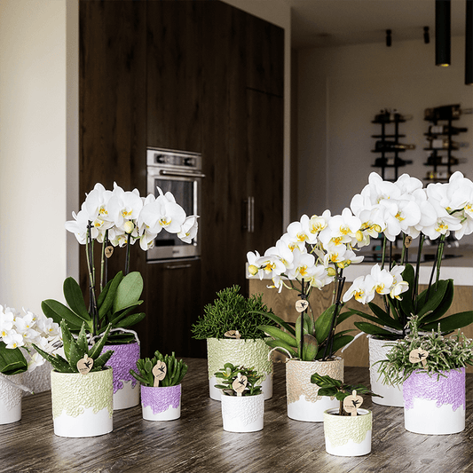 Kolibri Home | Bloom sierpot - Sand - Ø9cm