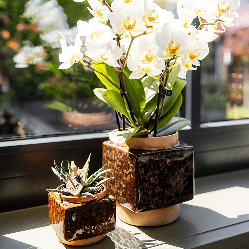 Kolibri Home | Classy Cube Ziertopf - Ø6cm