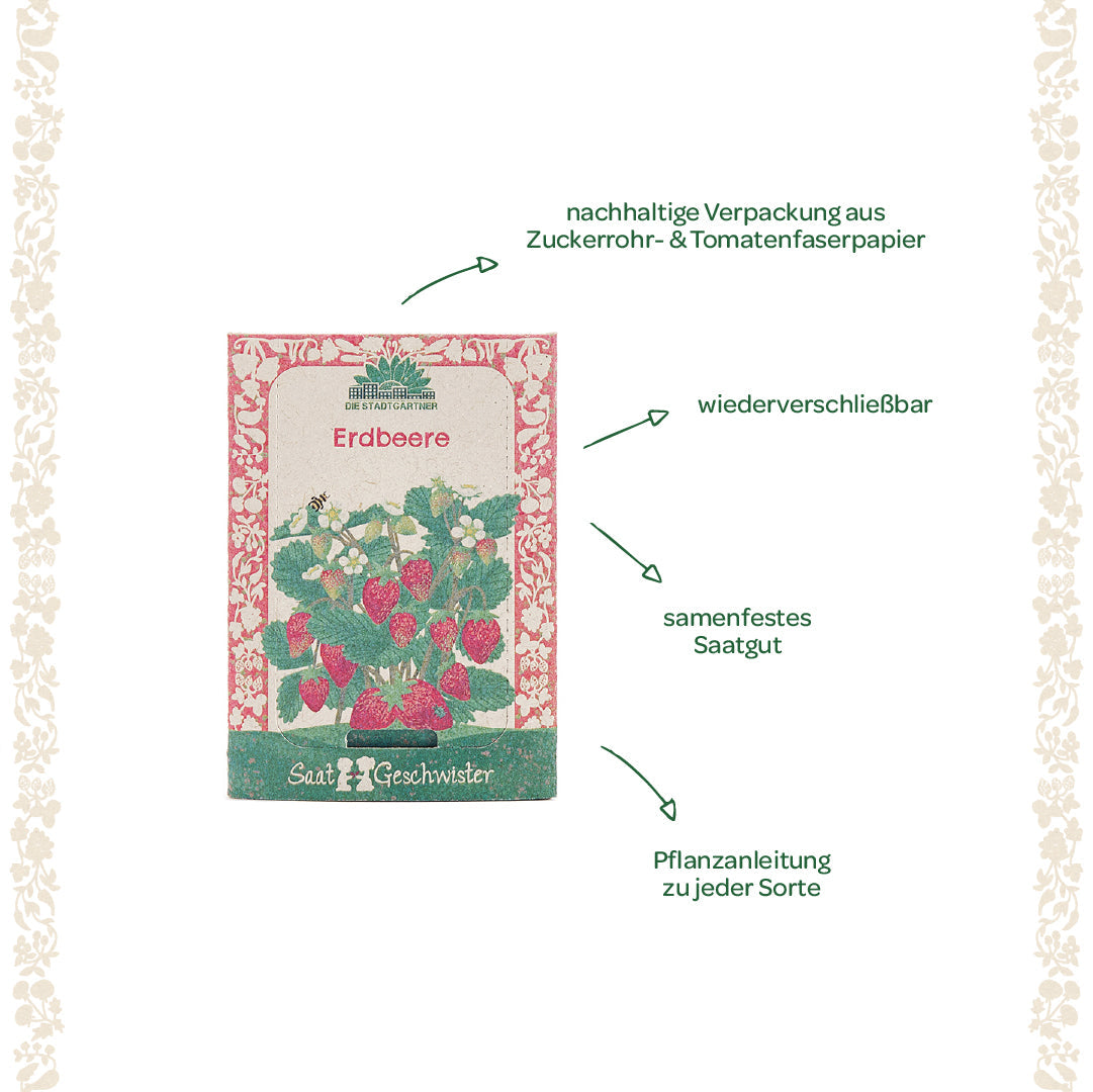 Saatgut Erdbeere