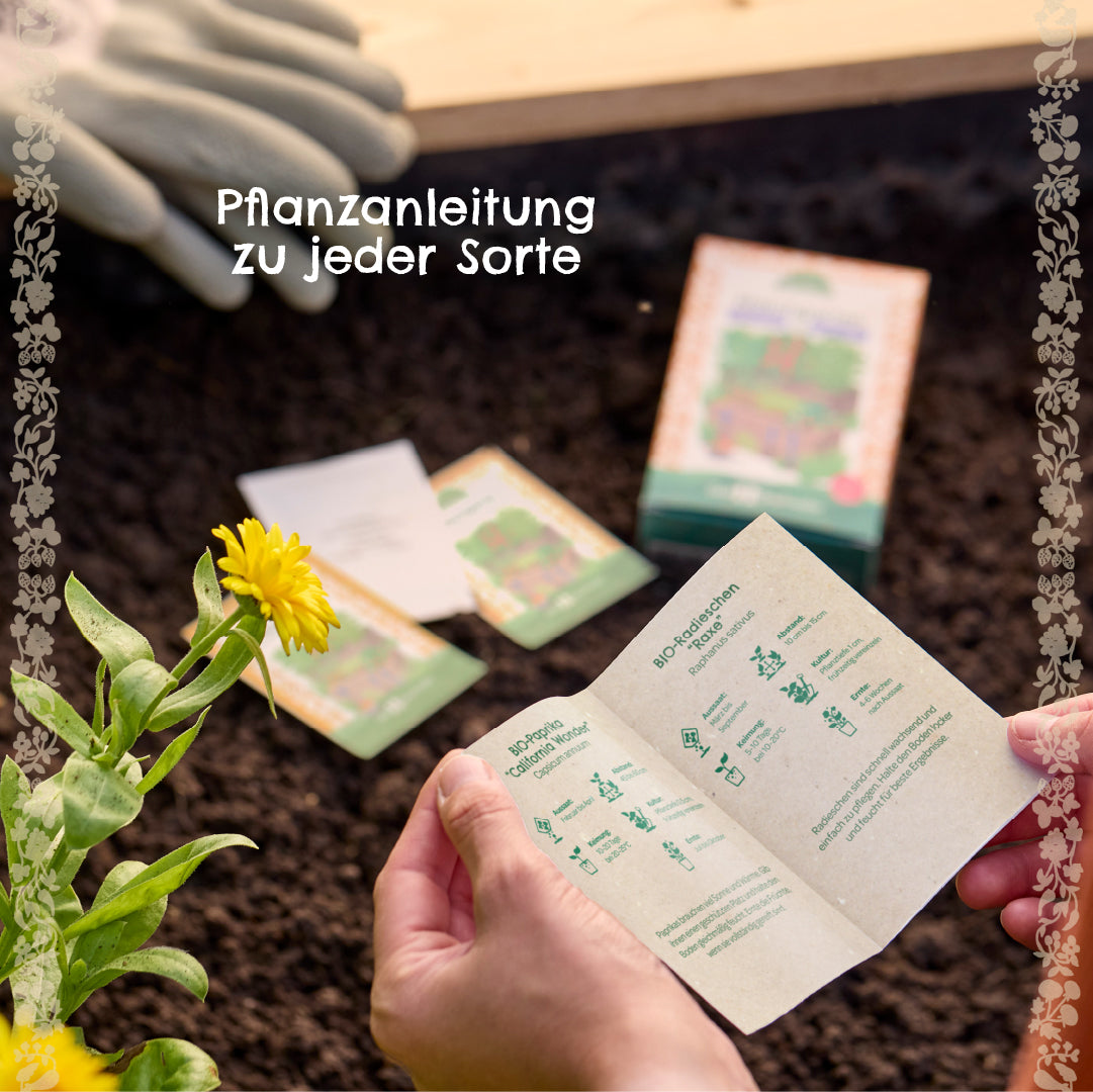 BIO-Saatgut-Set "Teekräuter"