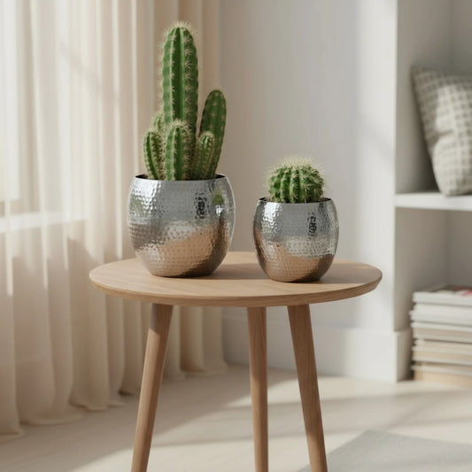 Übertopf Blumentopfe Silber Pflanztopf Deko 2er Set glänzend rund