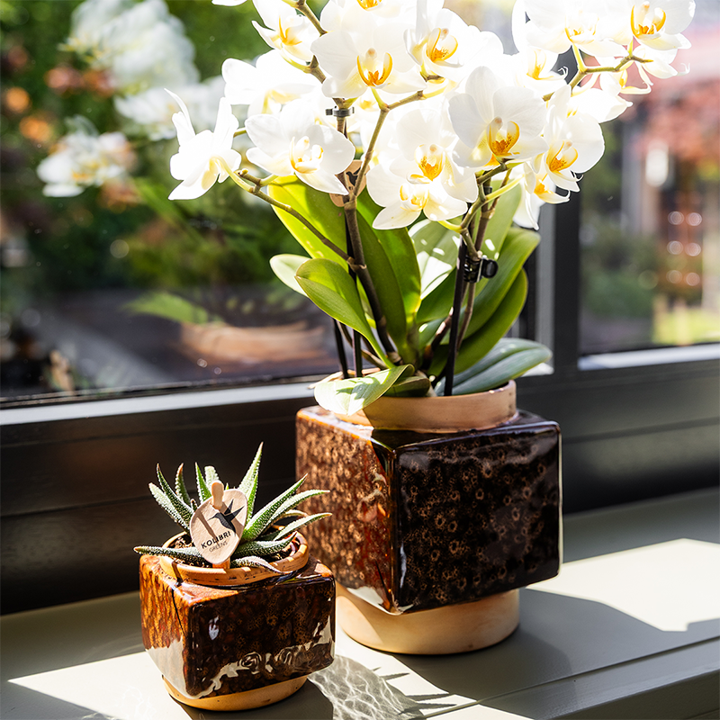 Kolibri Home | Classy Cube Ziertopf - Ø6cm
