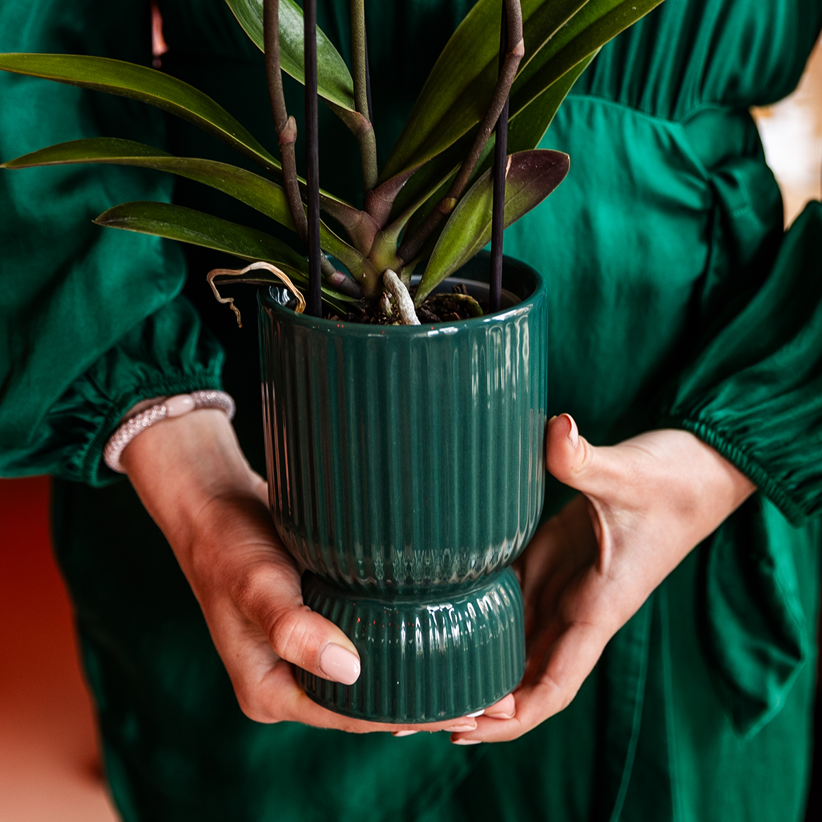 Kolibri Home | Diabolo-Ziertopf | Ø9cm - Green