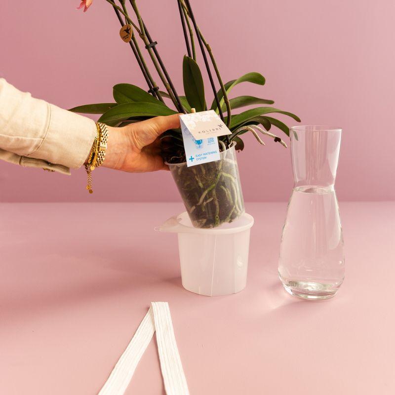 Kolibri Home | Como Ziertopf inkl. Bewässerungssystem - 2x Ø9cm