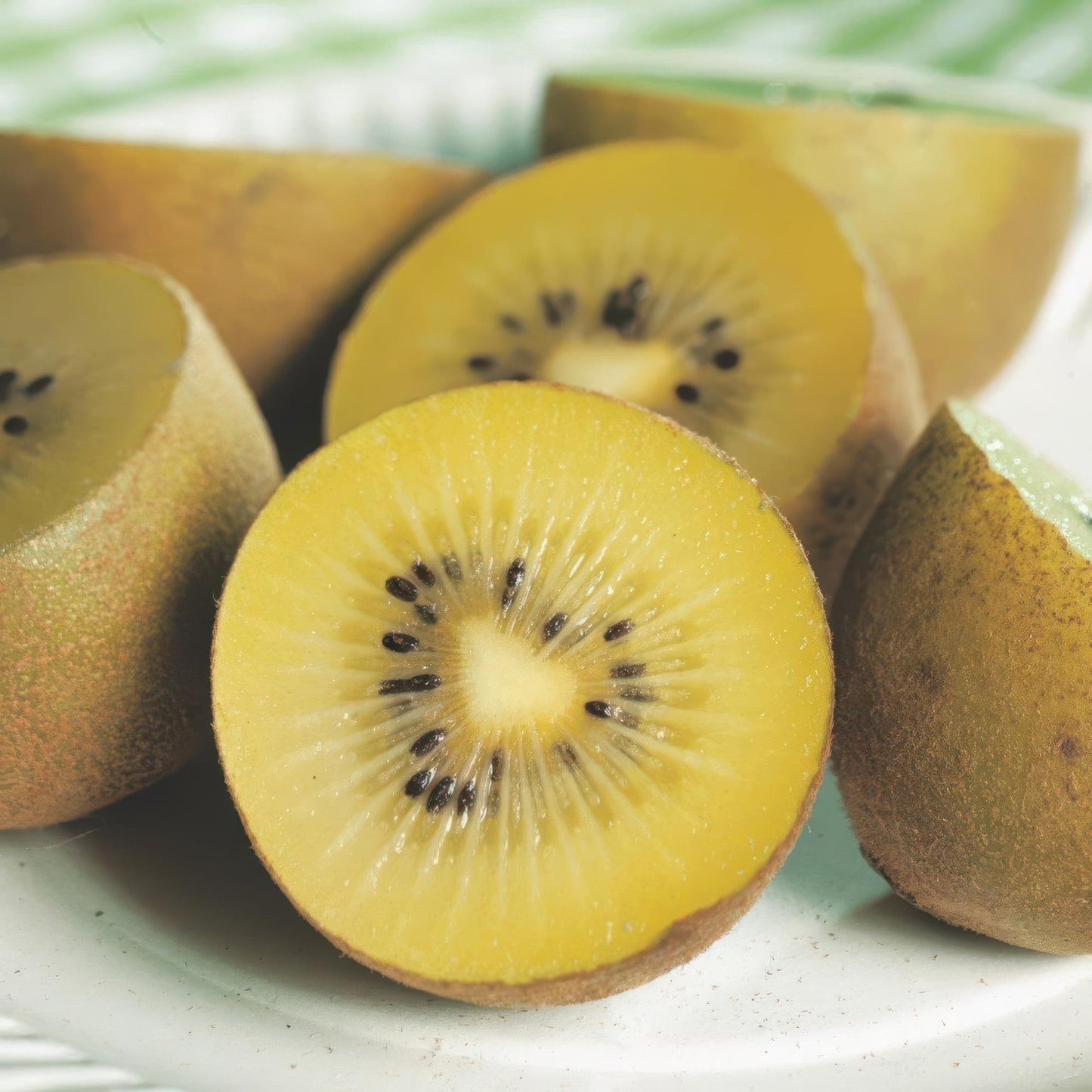 Actinidia deliciosa Golden Kiwi – 2 Obstpflanzen – Süße gelbe Früchte – Ø15cm Höhe 50cm – Einfach zu pflegen & vitaminreich