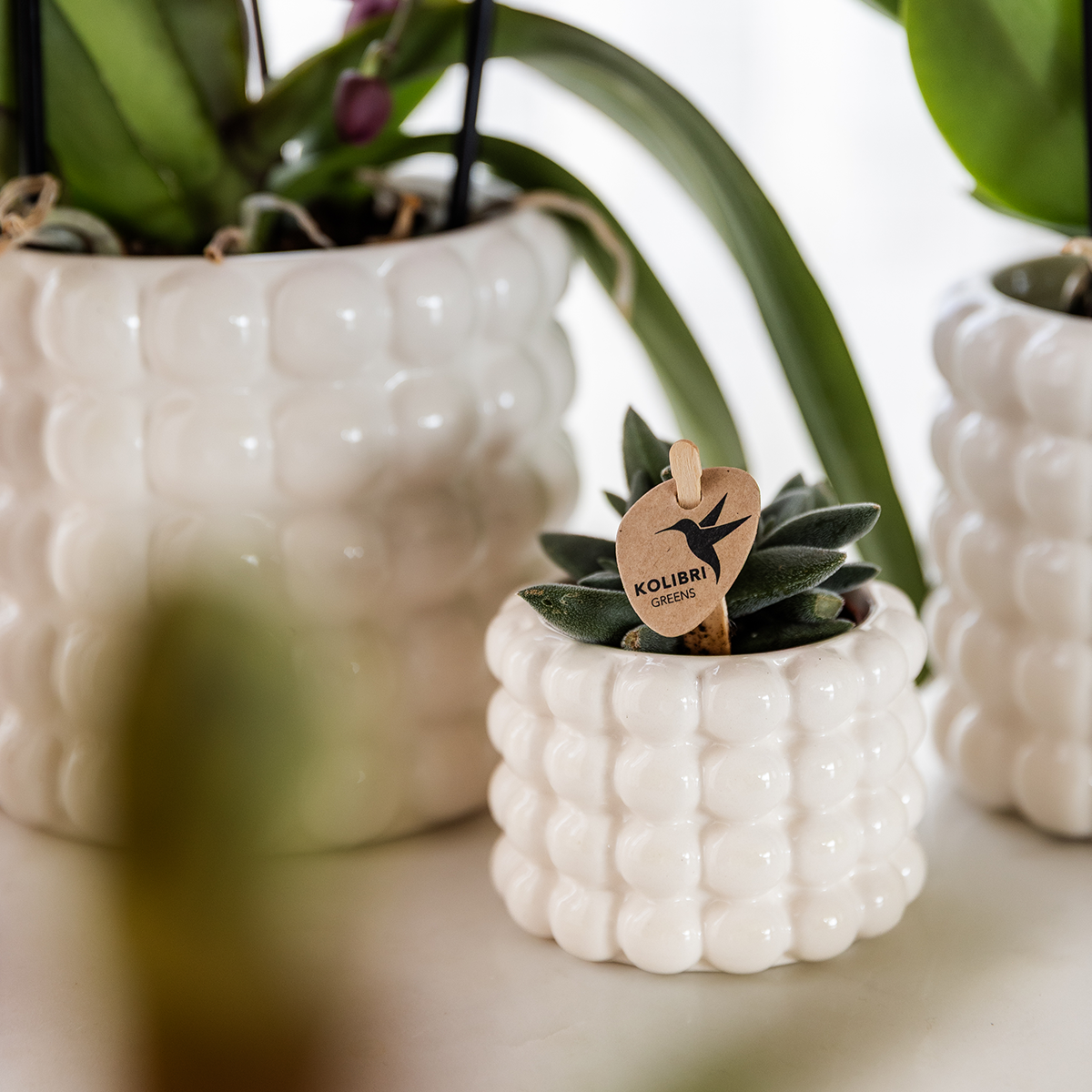 Kolibri Home | Poppy Ziertopf - White - Ø9cm