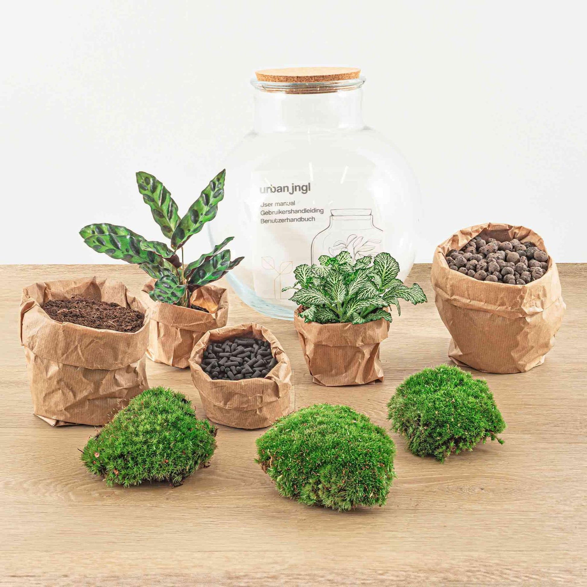 Flaschengarten Teddy – DIY Bausatz Terrarium – ↕26,5cm – Do-It-Yourself Pflanzen-Set im Glas mit Kork – Autarkes Mini-Ökosystem – Mit Calathea, weißer Fittonia & Moos – Für Zuhause & Büro
