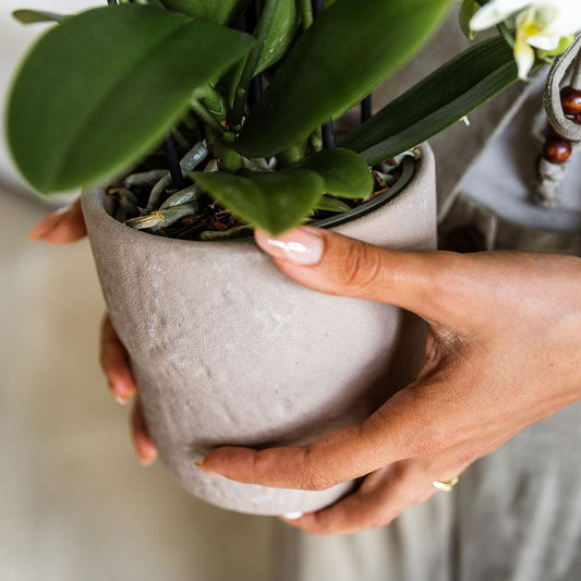 Rustic Zierpflanztopf Sand – Ø9cm – Kleiner Blumentopf in natürlichem Sandton – Organische Form im Slow Living Stil – Für Innenräume & dezente Wohnakzente