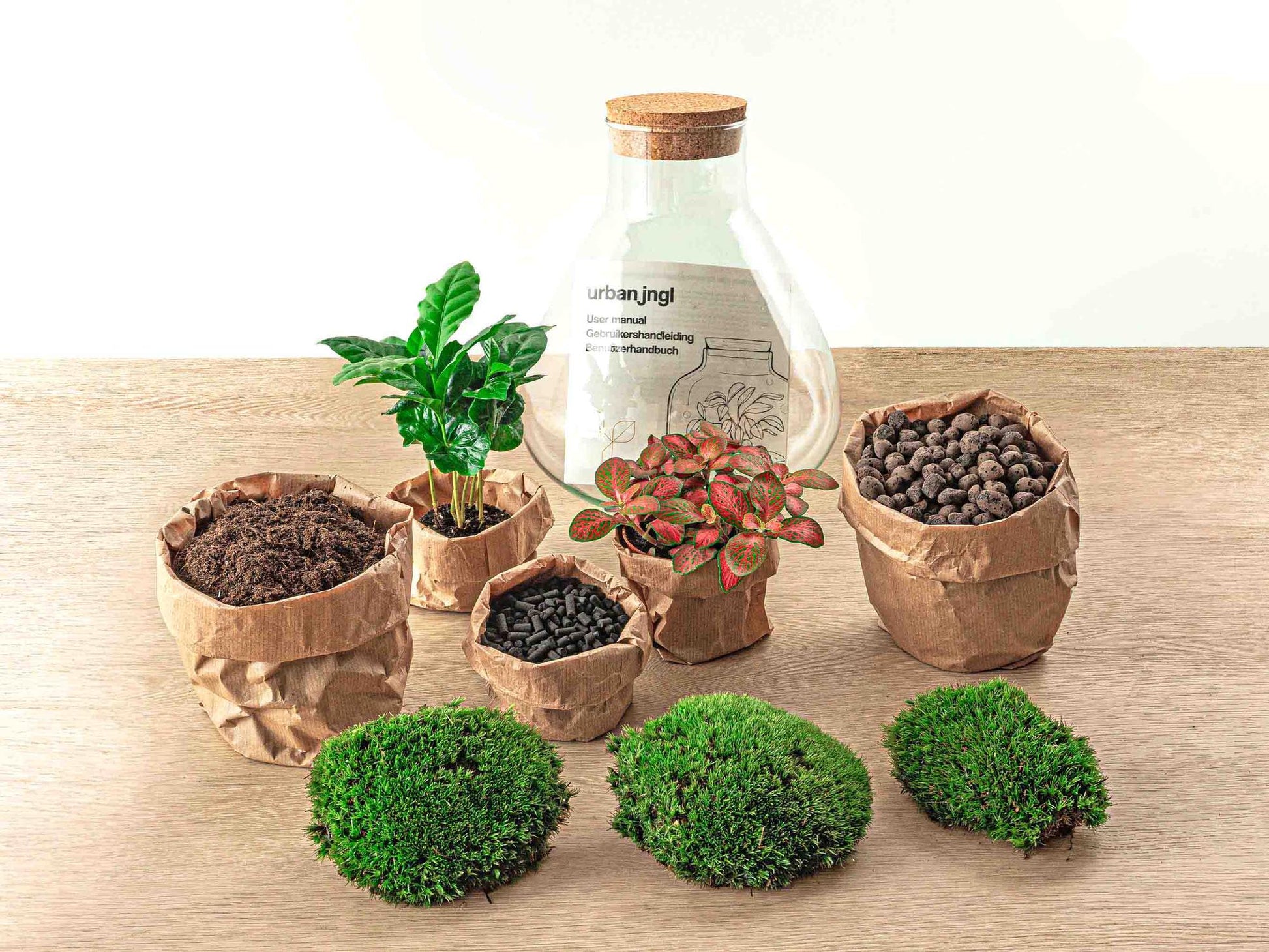 Flaschengarten Sammie Coffea – DIY Bausatz Terrarium – ↕26cm – Do-It-Yourself Pflanzen-Set mit Korkdeckel – Autarkes Mini-Ökosystem – Inkl. Coffea Arabica, Fittonia & Moos – Für Zuhause & Büro