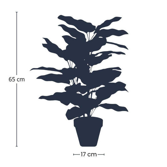 Calathea – Kunstpflanze – 65cm hoch – Ø17cm – Naturgetreue Blätter in Grüntönen – Pflegefrei – Für Wohnzimmer, Büro & Flur