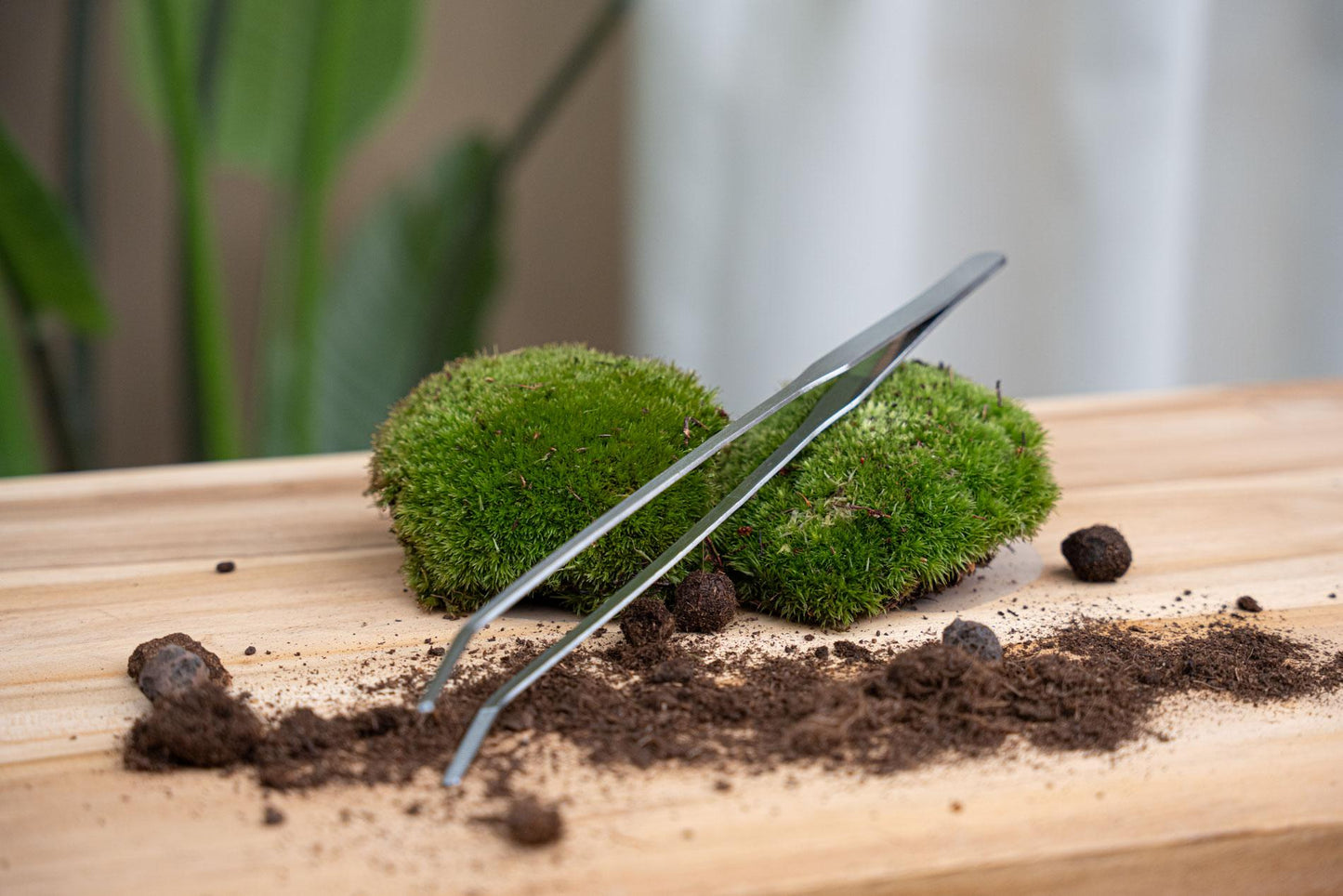 Terrarienpinzette – Edelstahl – 26cm – Lange Greifpinzette für Terrarium & Flaschengarten – Rostfreie Präzisionspinzette zum Pflanzen, Dekorieren & Reinigen