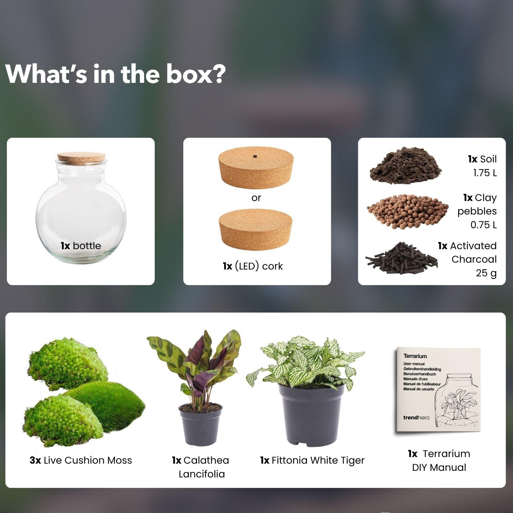 Flaschengarten - Teddy - ↕ 26,5 cm - Met LED-kurk