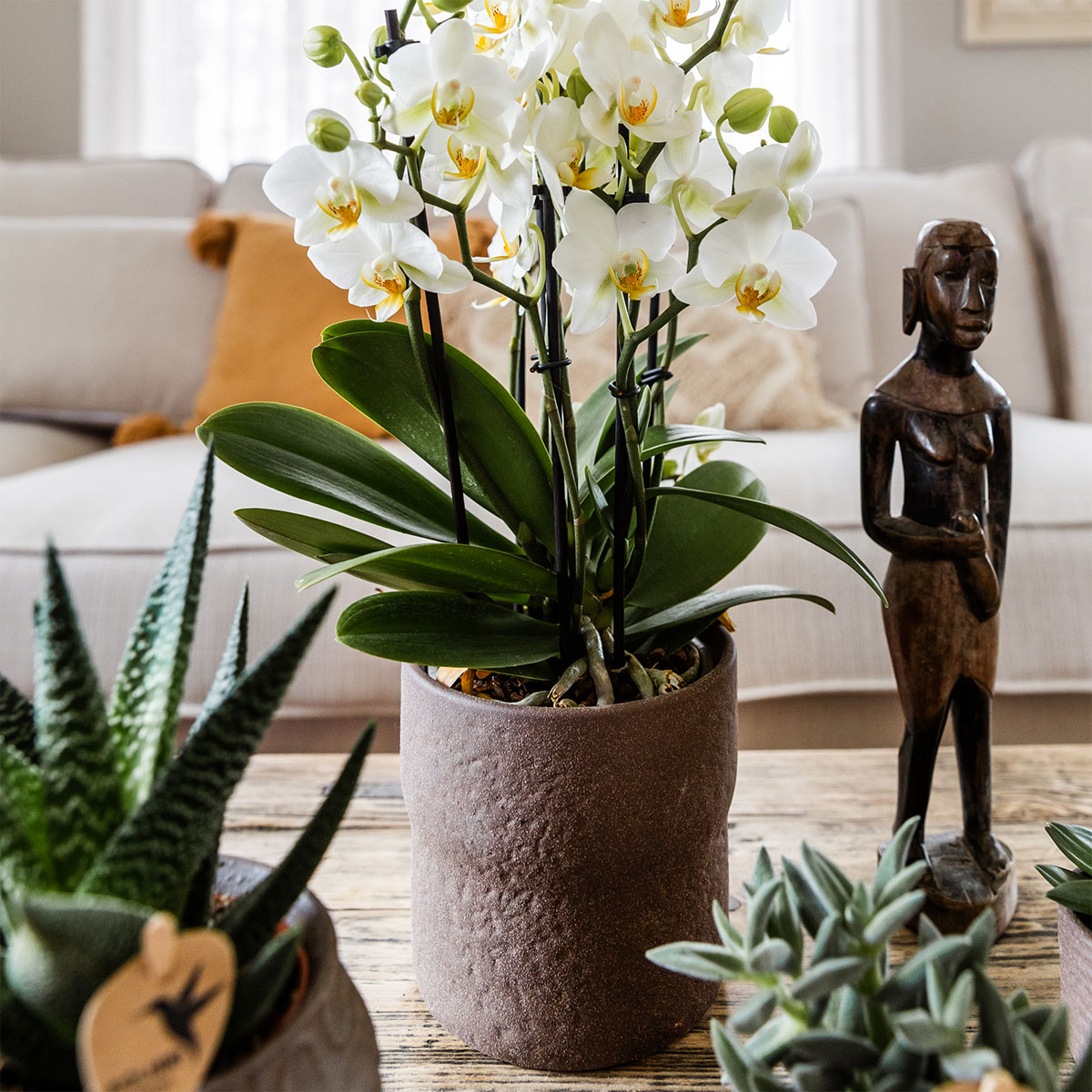 Rustic Zierpflanztopf Brown – Ø12cm – Blumentopf in warmem Braun – Organische Form im Slow Living Stil – Minimalistisches Design für Innenräume