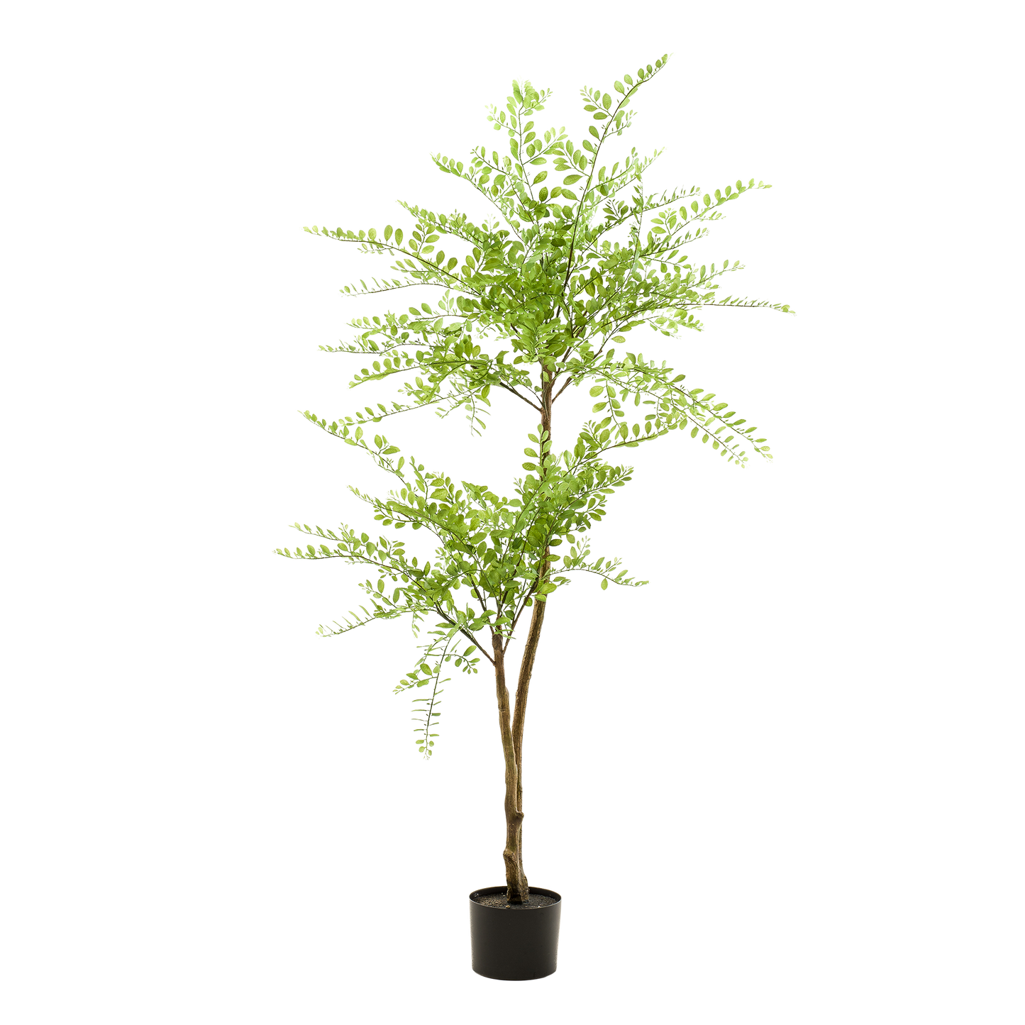 Kunstpflanze Sophorabaum – Honigbaum – 140cm – Pflegeleichter Deko-Baum für Zuhause & Büro – Realistischer Look – Ideal für Wohnräume