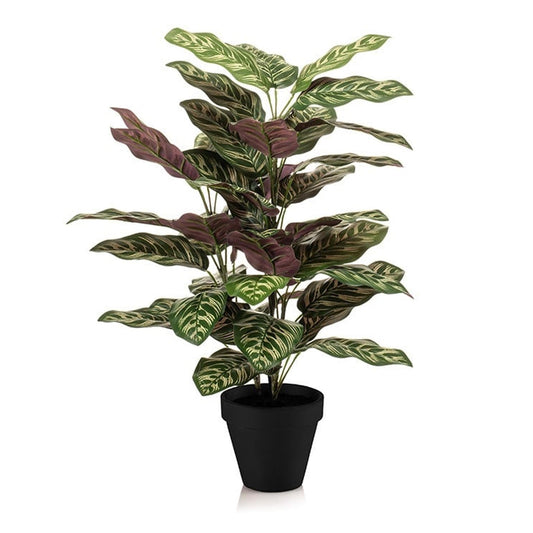 Calathea – Kunstpflanze – 65cm hoch – Ø17cm – Naturgetreue Blätter in Grüntönen – Pflegefrei – Für Wohnzimmer, Büro & Flur