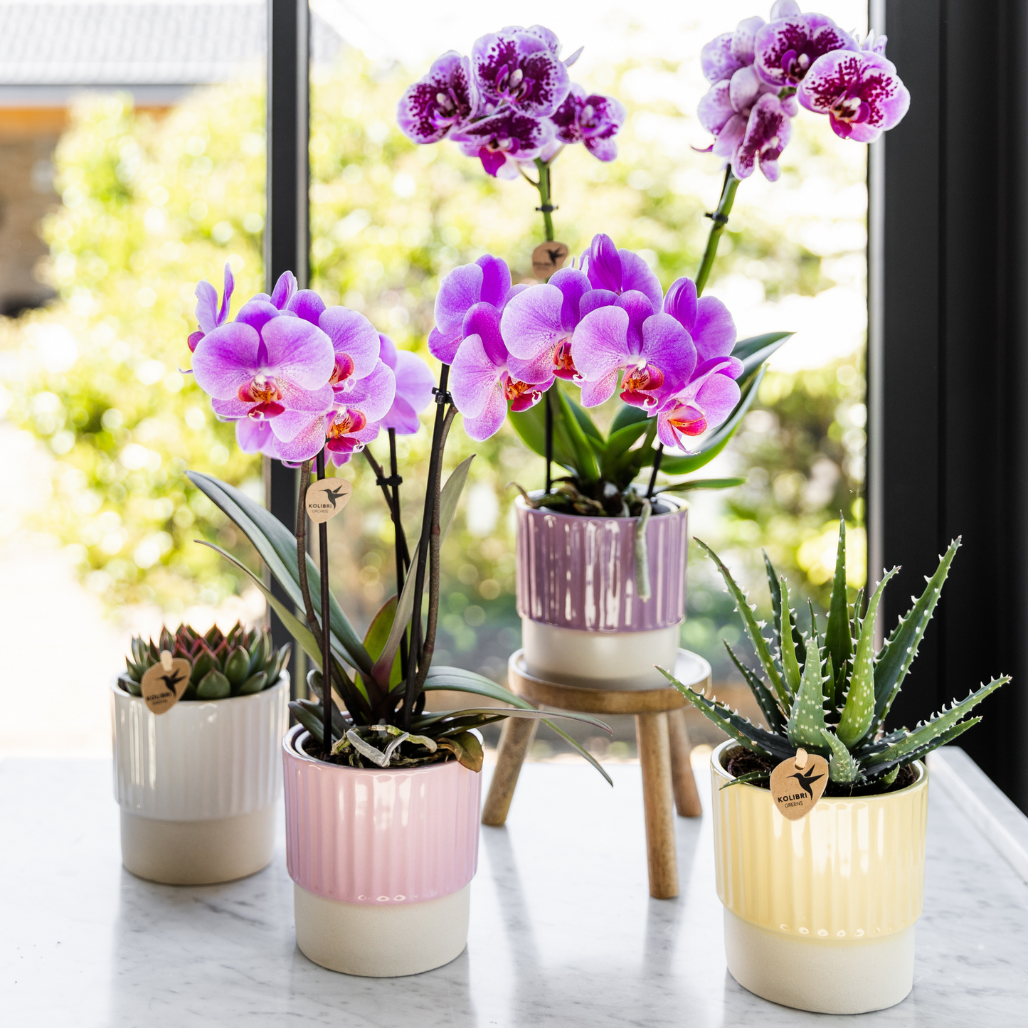 Butter Blumentopf Pink – Floral Blush Kollektion – passend für kleine Pflanzen – Zartes Rosa & Creme – Rillenstruktur – Deko-Topf für Innenräume