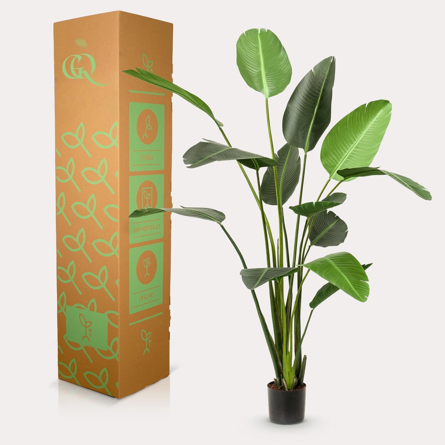 Kunstpflanze - Strelitzia Nicolai - Paradiesvogelblume - Zimmerpflanze - 230cm