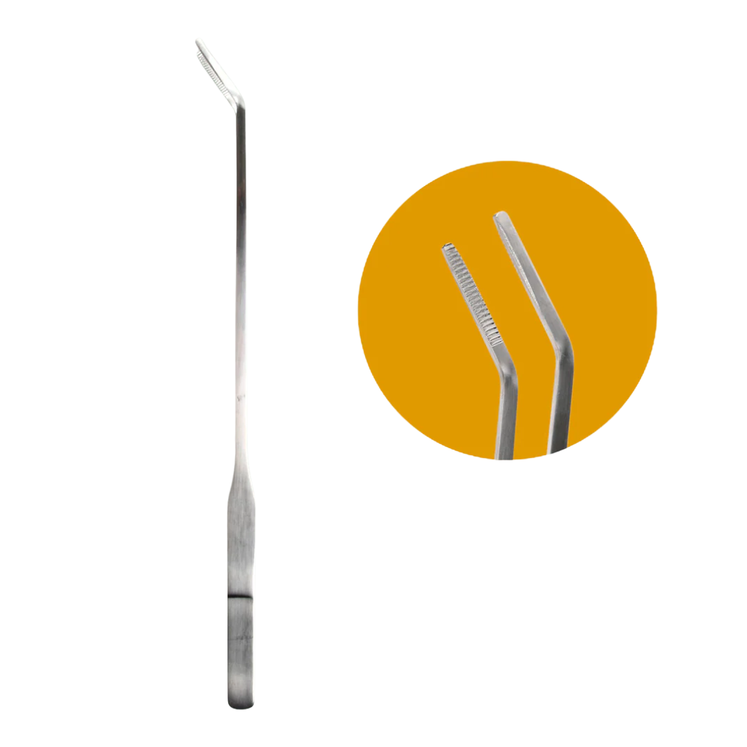 Terrarienpinzette – Edelstahl – 26cm – Lange Greifpinzette für Terrarium & Flaschengarten – Rostfreie Präzisionspinzette zum Pflanzen, Dekorieren & Reinigen