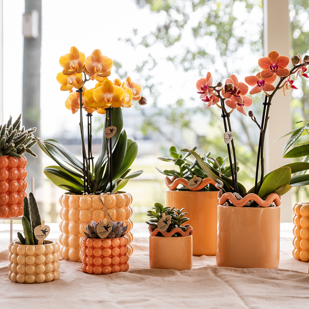 Kolibri Home | Poppy Ziertopf - Orange - Ø6cm