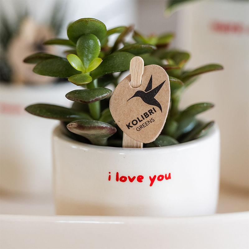 Kolibri Home | I Love You Ziertopf - Ø6cm
