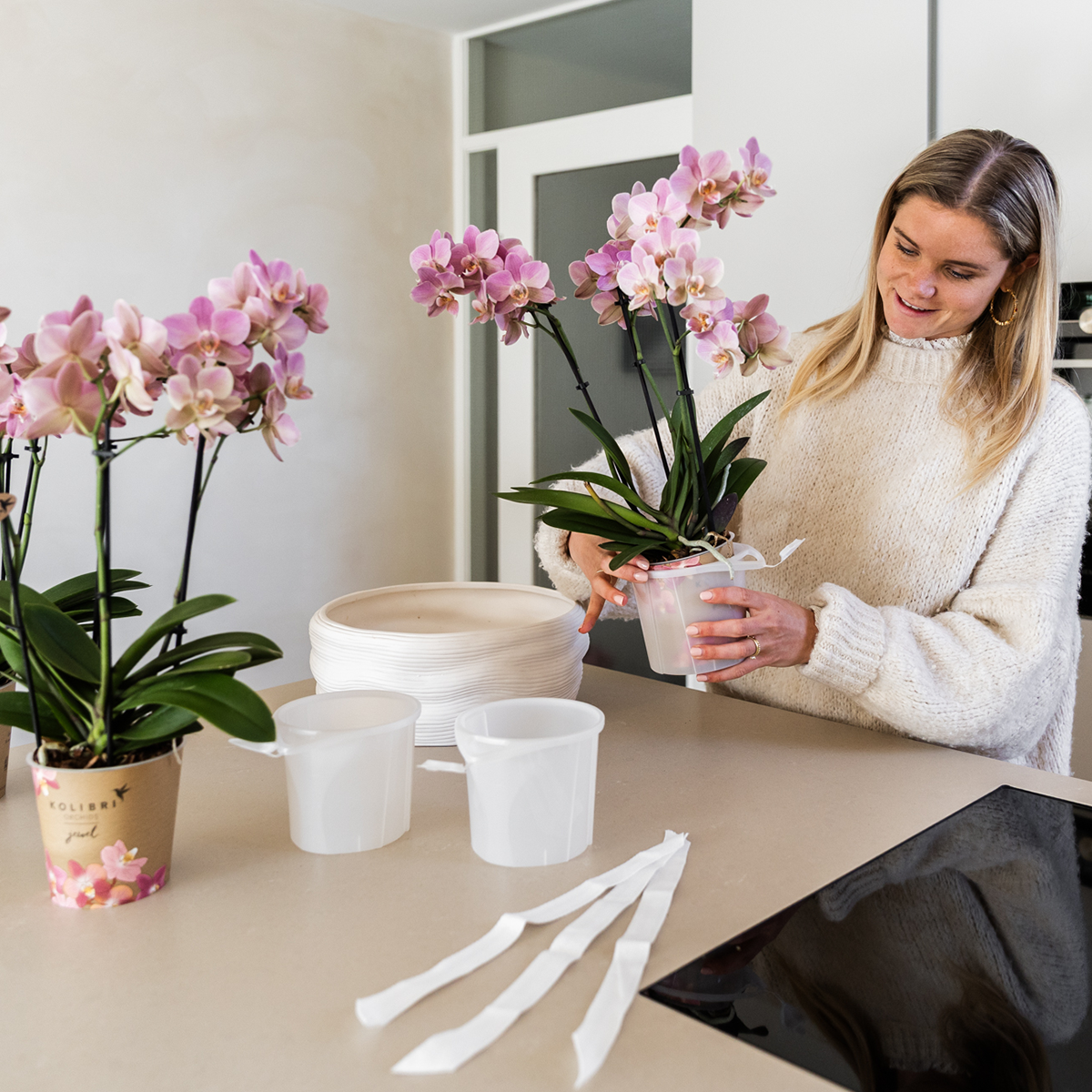 Kolibri Orchids | Weißes Orchideenset in Como-Schale inkl. Wasserreservoir | Drei Weiße Amabilis-Orchideen 9cm | Mono-Bouquet Weiß mit Selbstbewässerungssystem