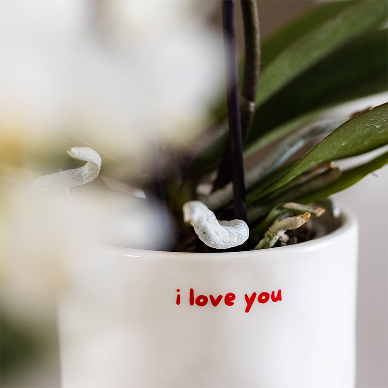 Kolibri Home | I Love You Ziertopf - Ø9cm