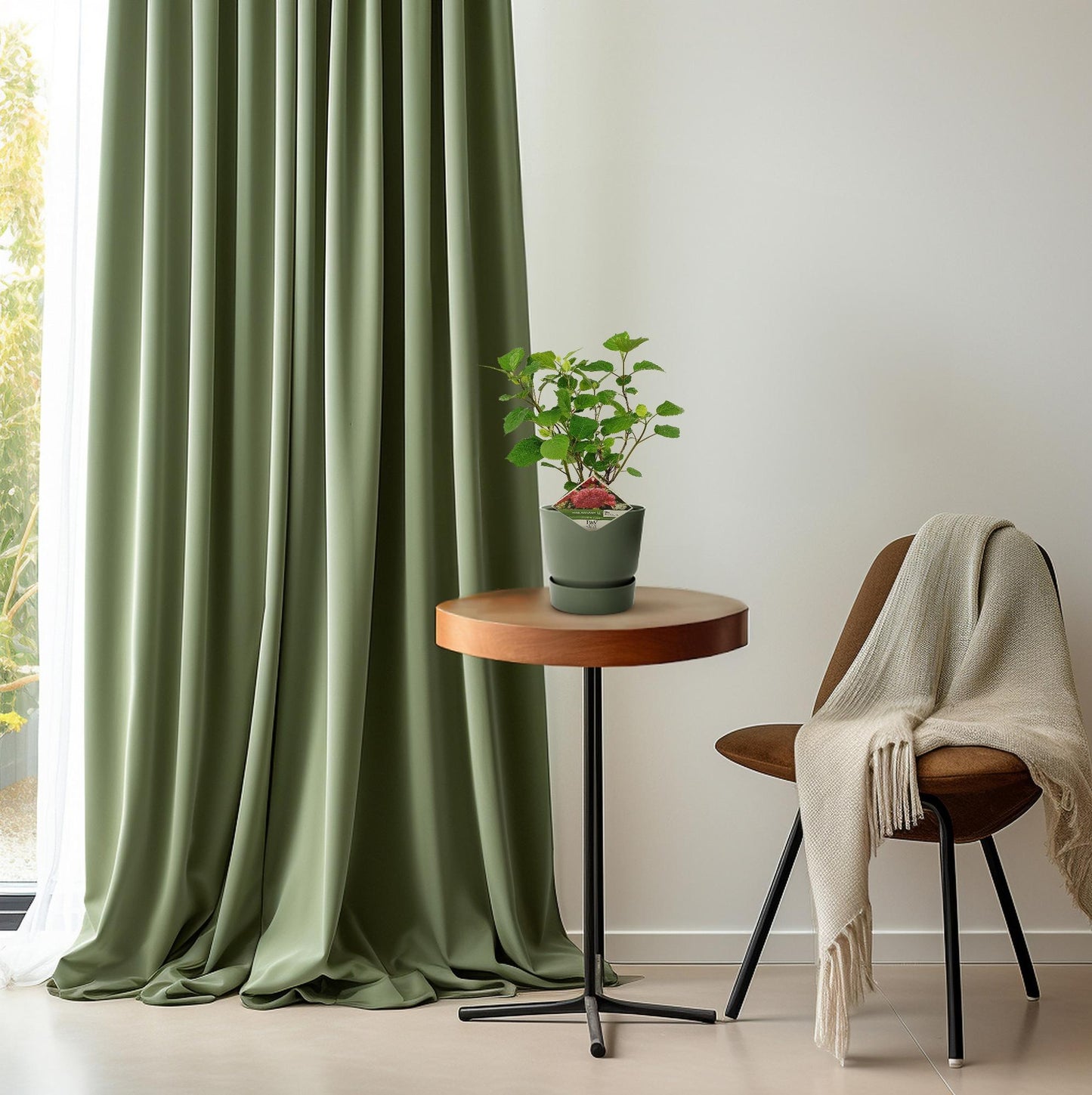 Ballhortensie 'Pink Annabelle' – Hydrangea arborescens – Zimmerpflanze – Ø19cm – ↕30cm – Rosa Blütenpracht für Innenräume