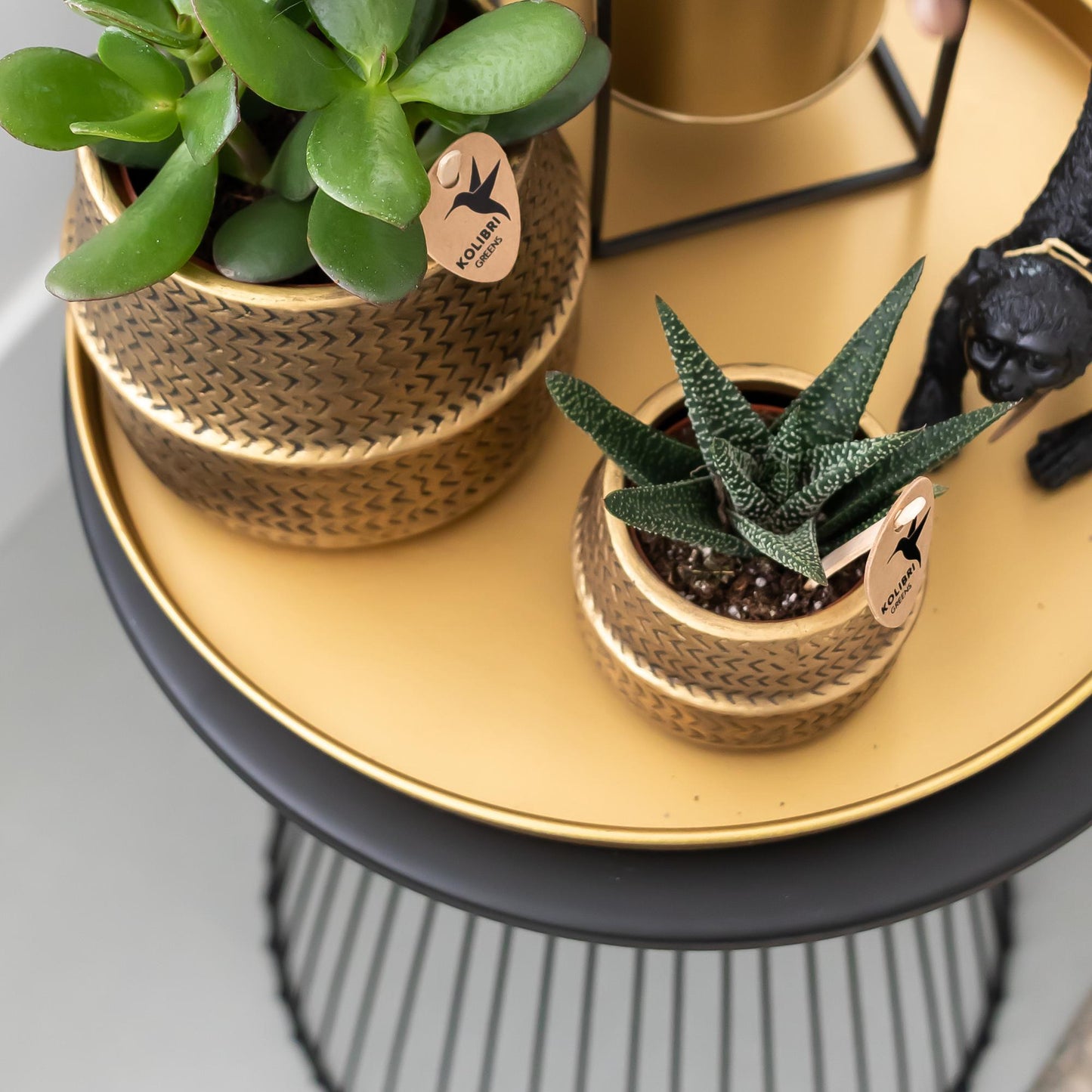 Kolibri Home | Dekorative Tablett - Rundes goldenes Tablett Ø30cm
