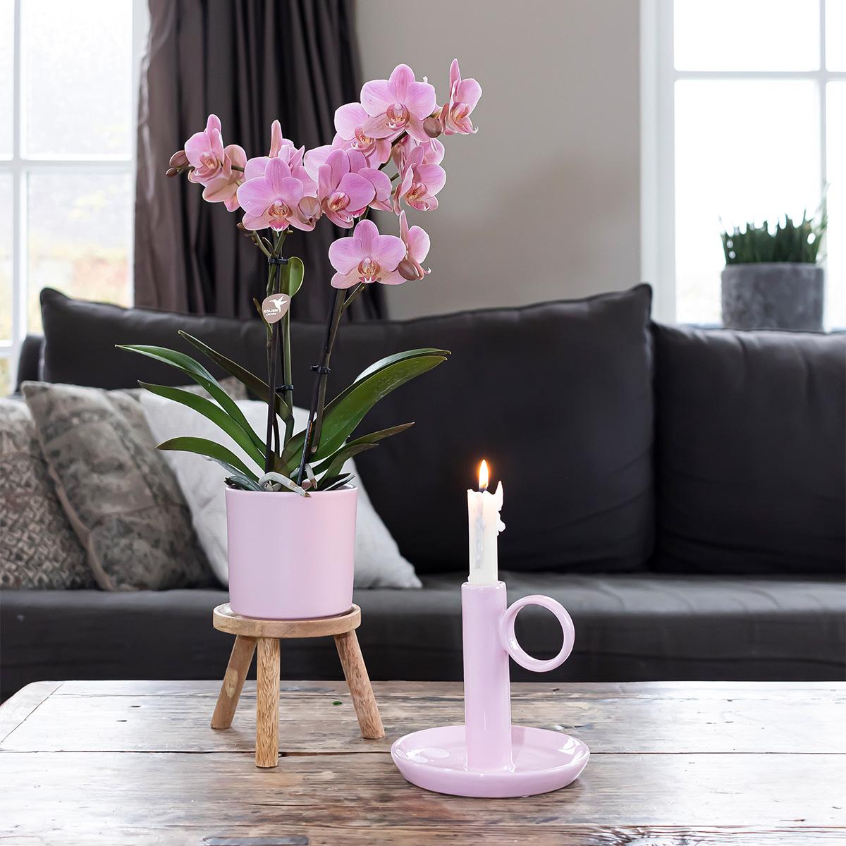 Kolibri Home | Simplicity pot - Roze - 9cm