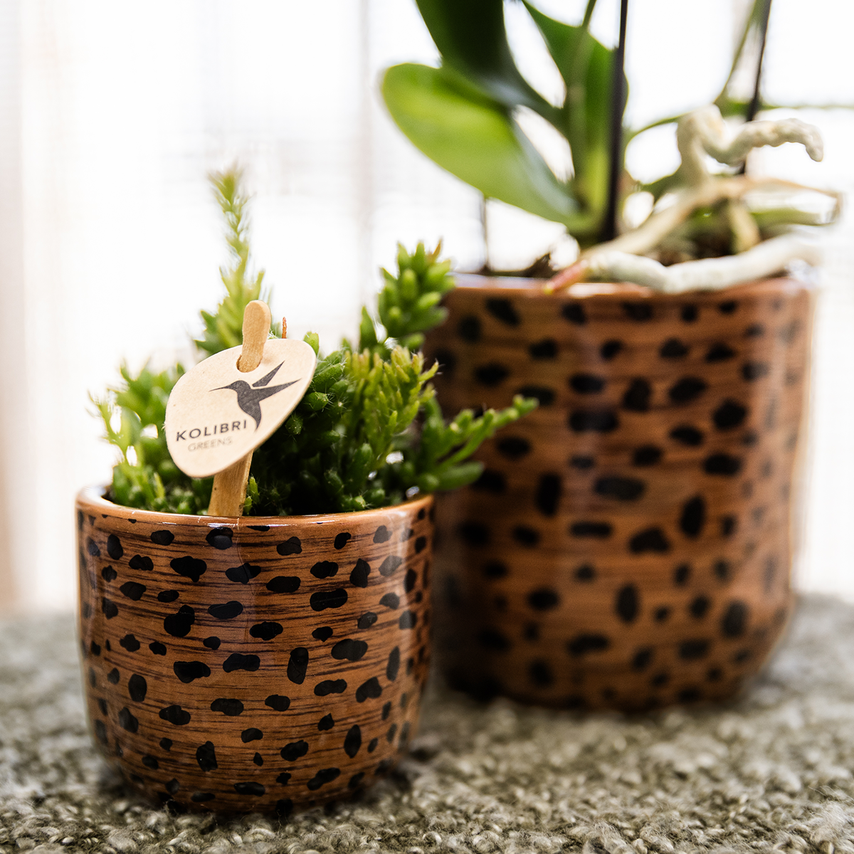 Leoparden-Ziertopf – Ø6 cm – Dekotopf mit Leopardenmuster – Pflanztopf aus Keramik – Blumentopf für kleine Zimmerpflanzen & Sukkulenten – Braun/Schwarz – Indoor-Deko