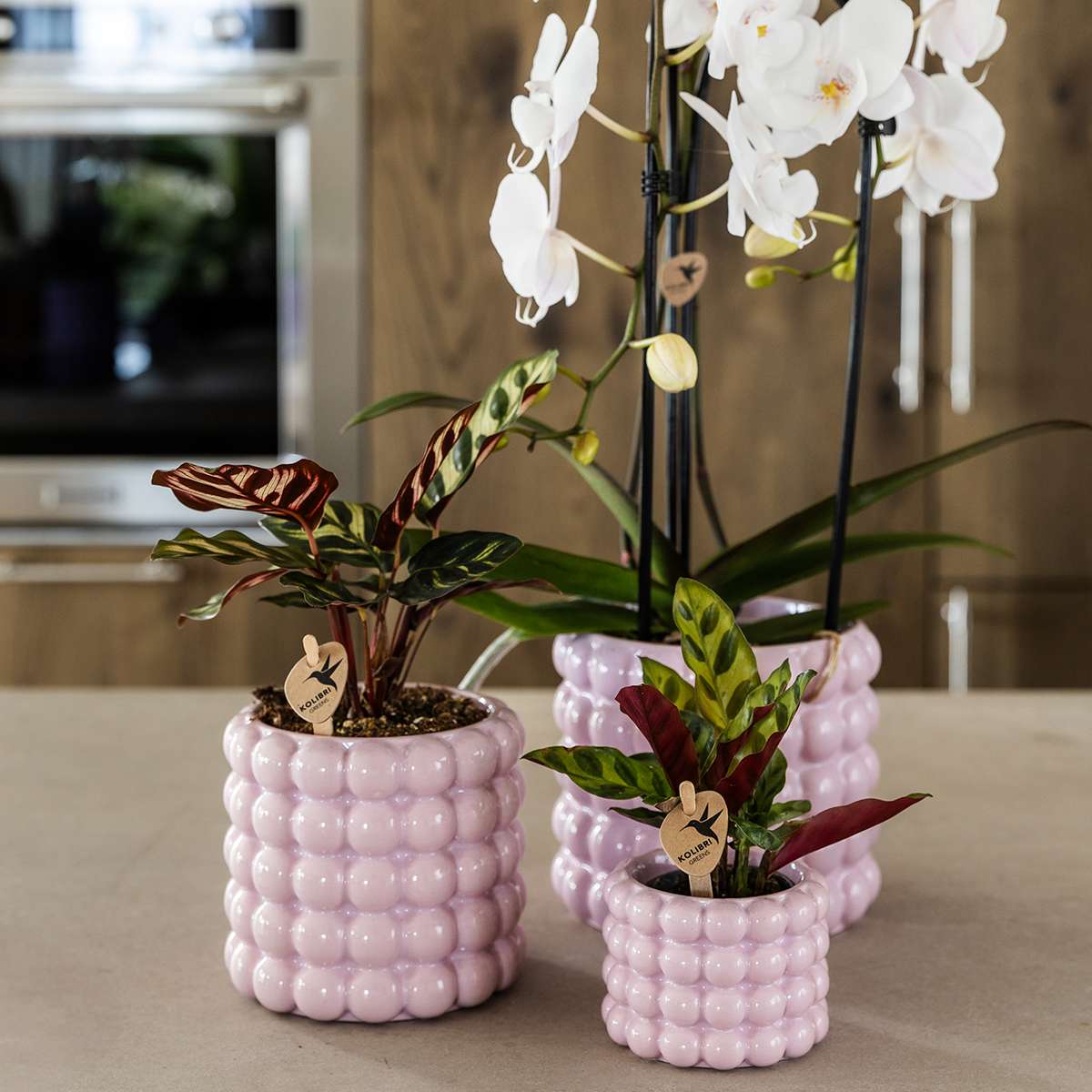 Kolibri Home | Poppy Ziertopf - Pink - Ø9cm