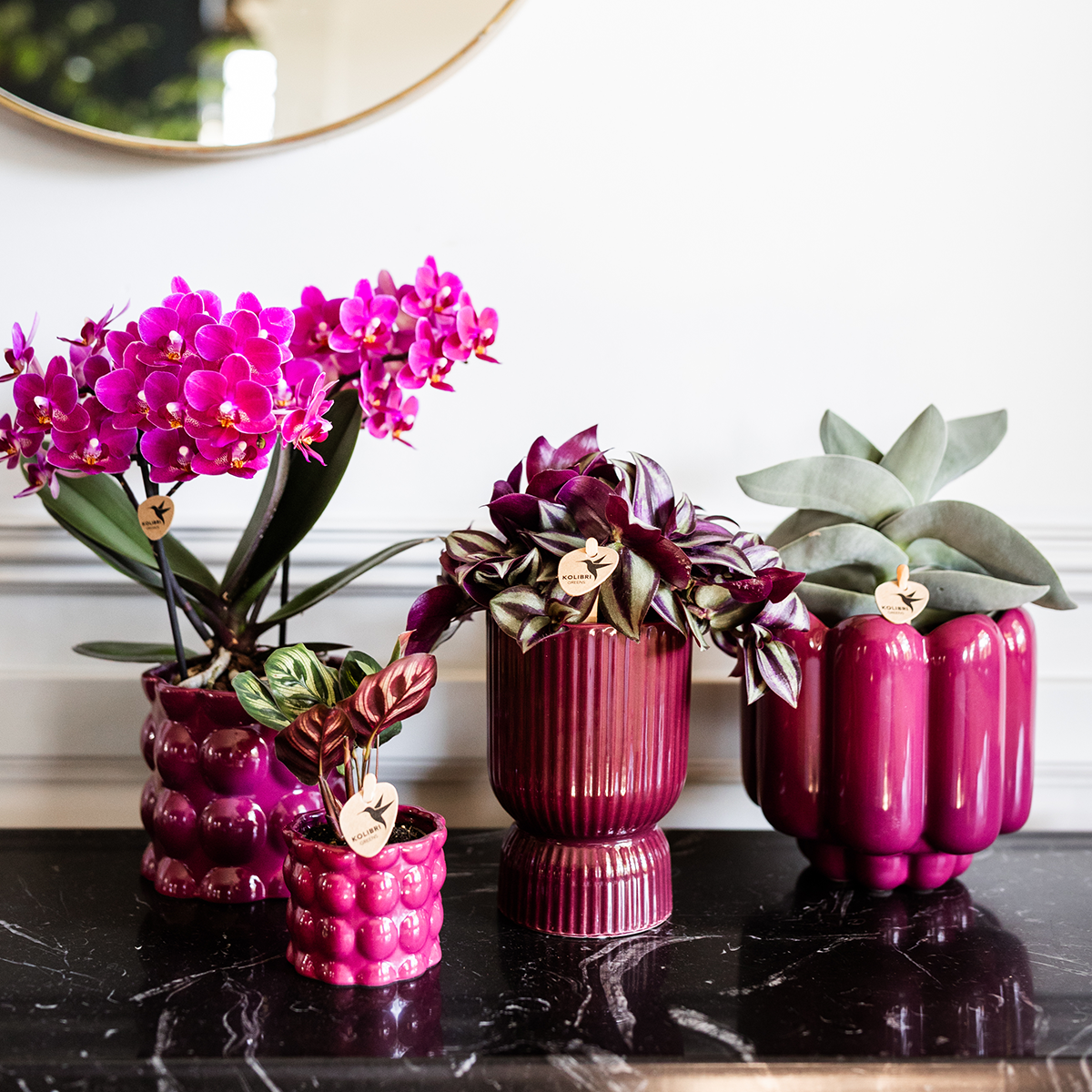 Kolibri Home | Diabolo-Ziertopf | Ø9cm - Burgundy