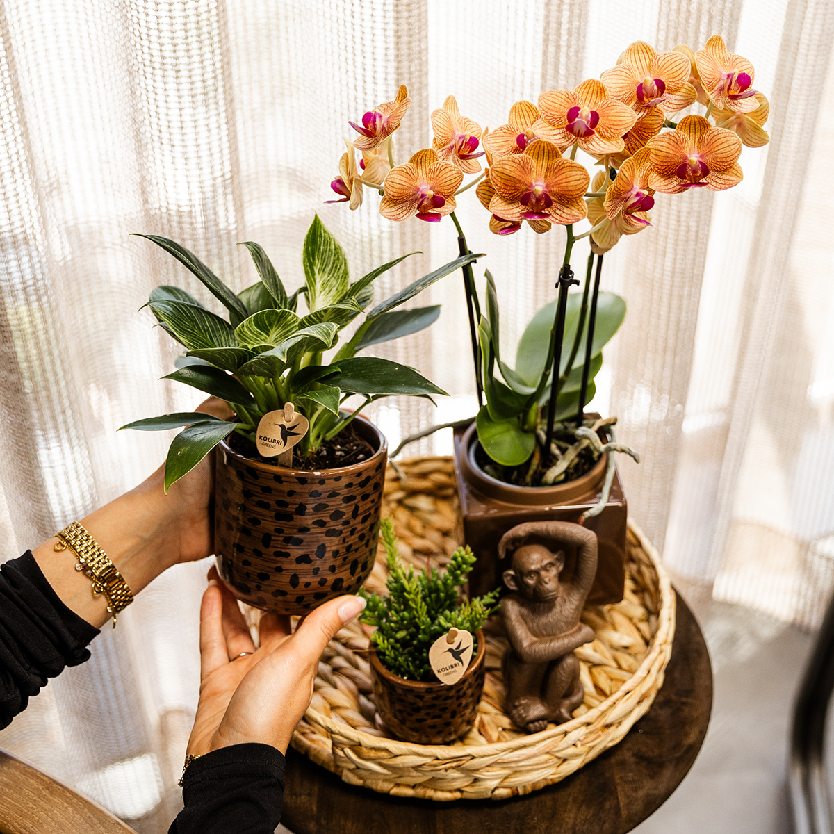 Leoparden-Ziertopf – Blumentopf Ø9 cm – Keramik Übertopf mit Leopardenmuster – Dekorativer Topf für Zimmerpflanzen – Modern & auffällig – Braun/Schwarz