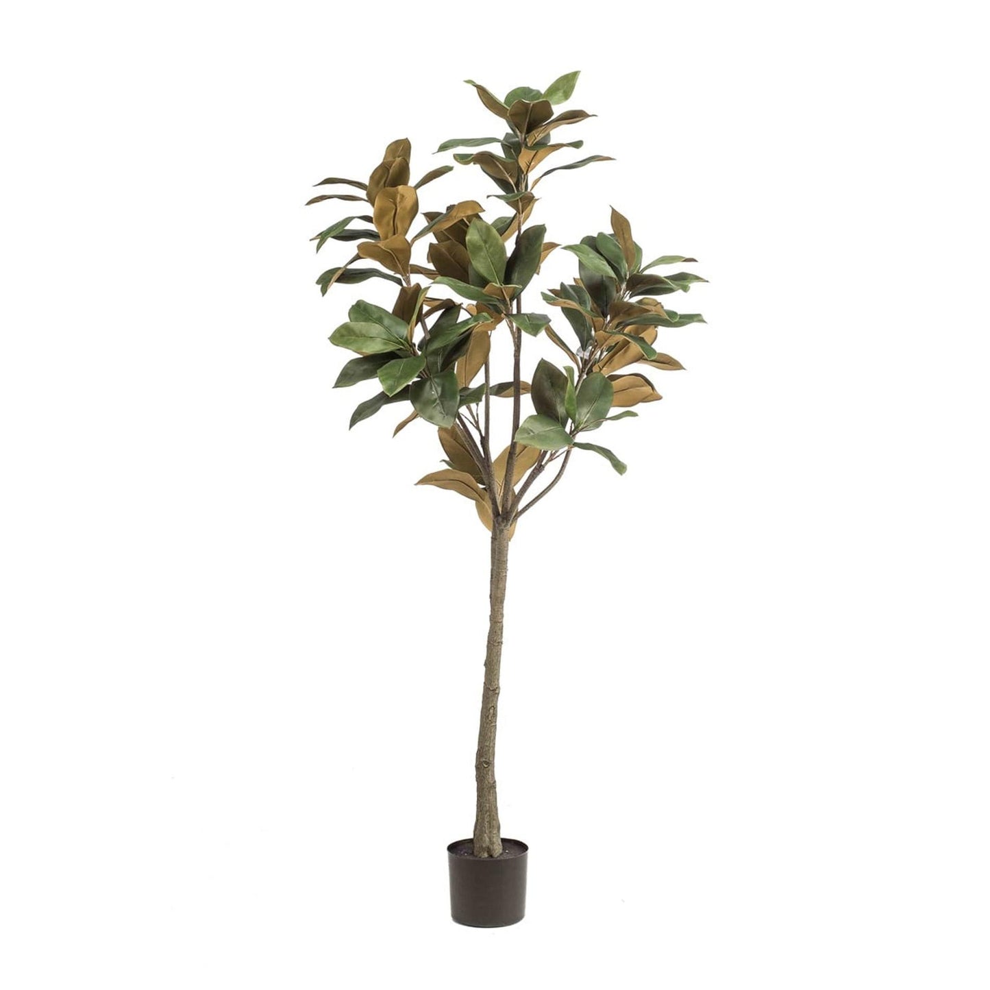 Magnolia Denudata – 150 cm Kunstbaum – Künstliche Magnolie Weiß – Pflegeleichte Deko für Zuhause & Büro