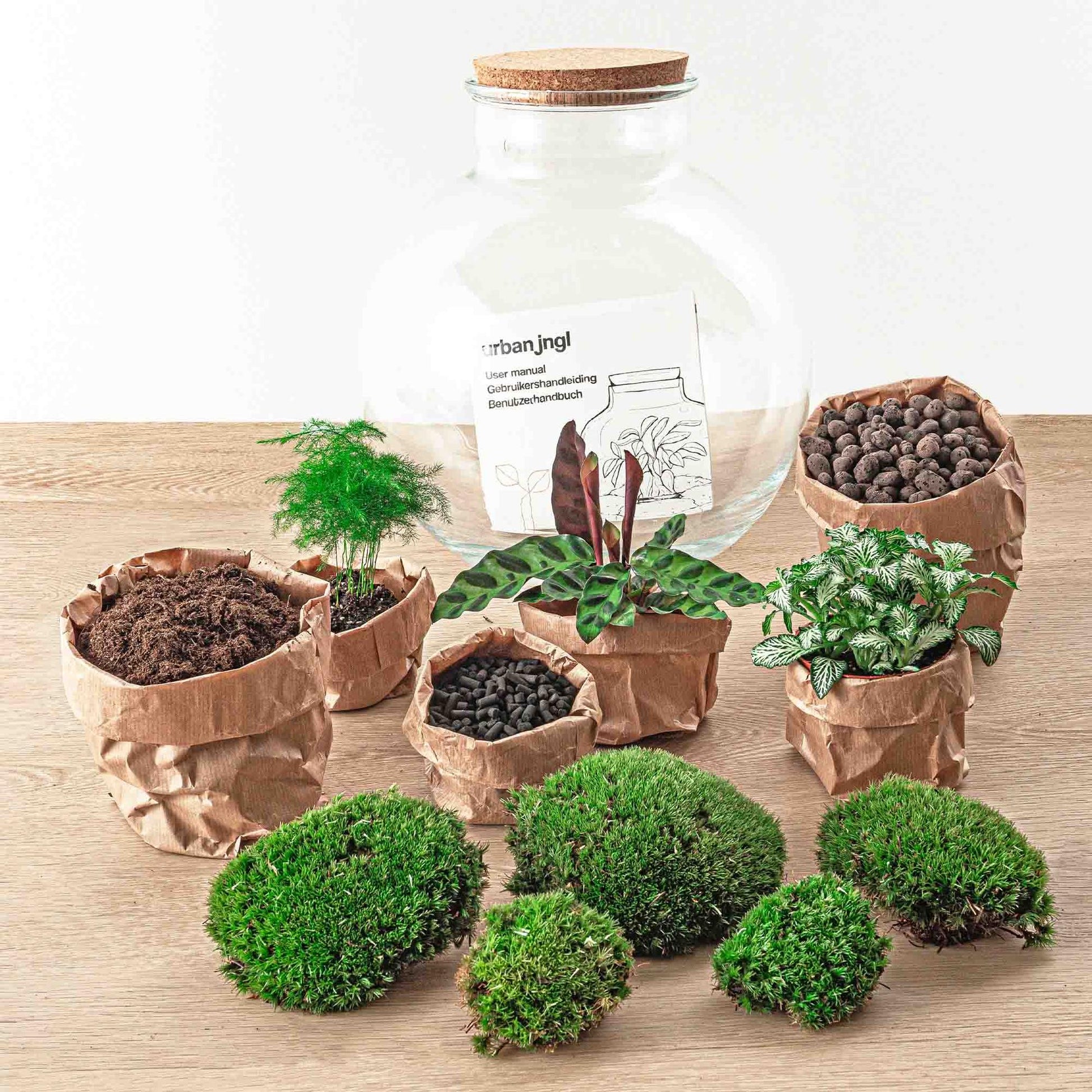 Flaschengarten DIY Bausatz Bolder Bob – Terrarium Ø31cm x H30cm – Do-It-Yourself Pflanzterrarium – Autarkes Mini-Ökosystem – Perfekt für Wohnung & Büro