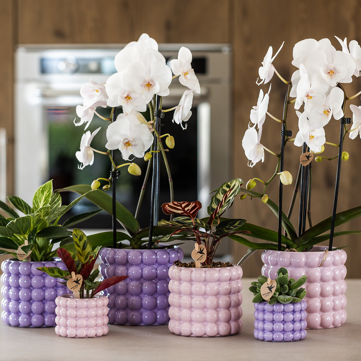 Kolibri Home | Poppy Ziertopf - Purple - Ø9cm