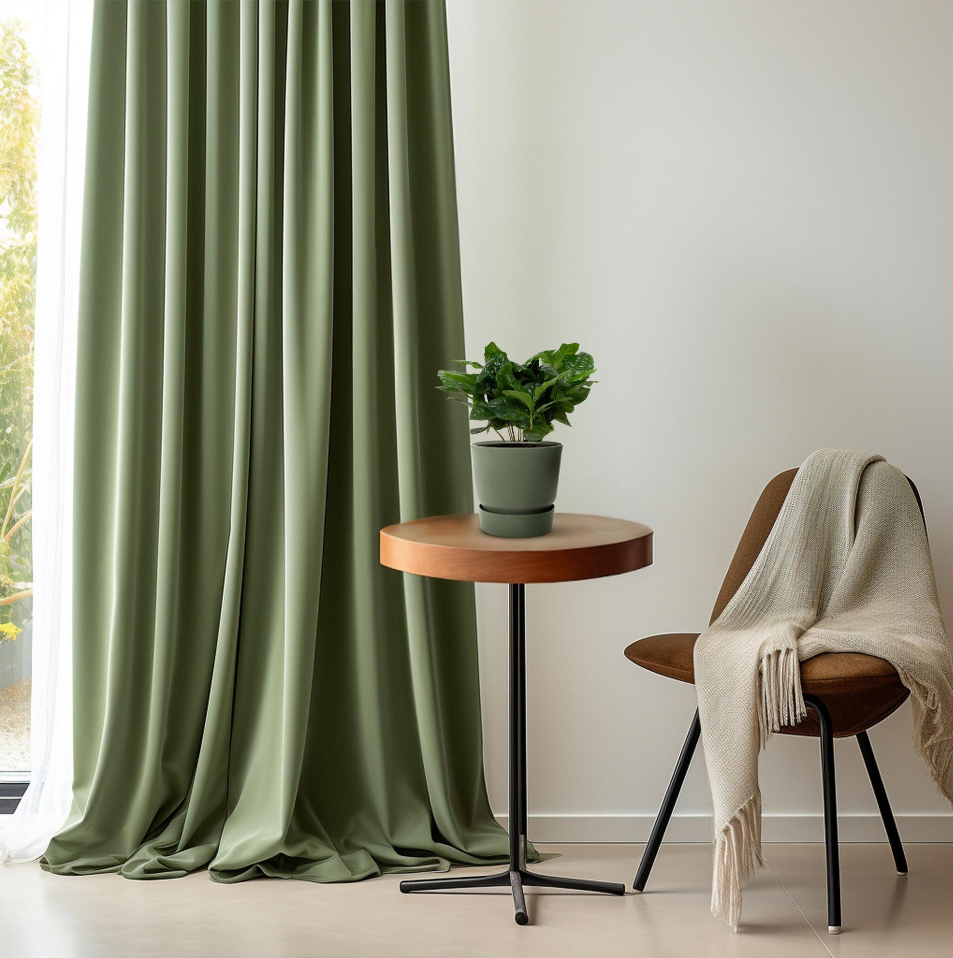 Arabische Kaffeepflanze – Coffea Arabica – Zimmerpflanze – Ø12cm – ↕22cm – Luftreinigend & Pflegeleicht