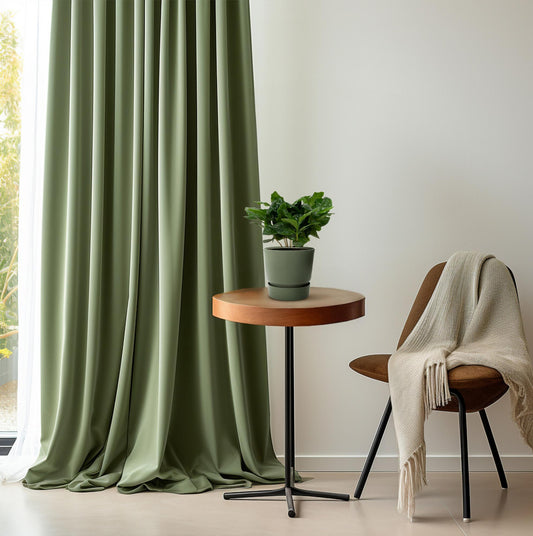 Arabische Kaffeepflanze – Coffea Arabica – Zimmerpflanze – Ø12cm – ↕22cm – Luftreinigend & Pflegeleicht