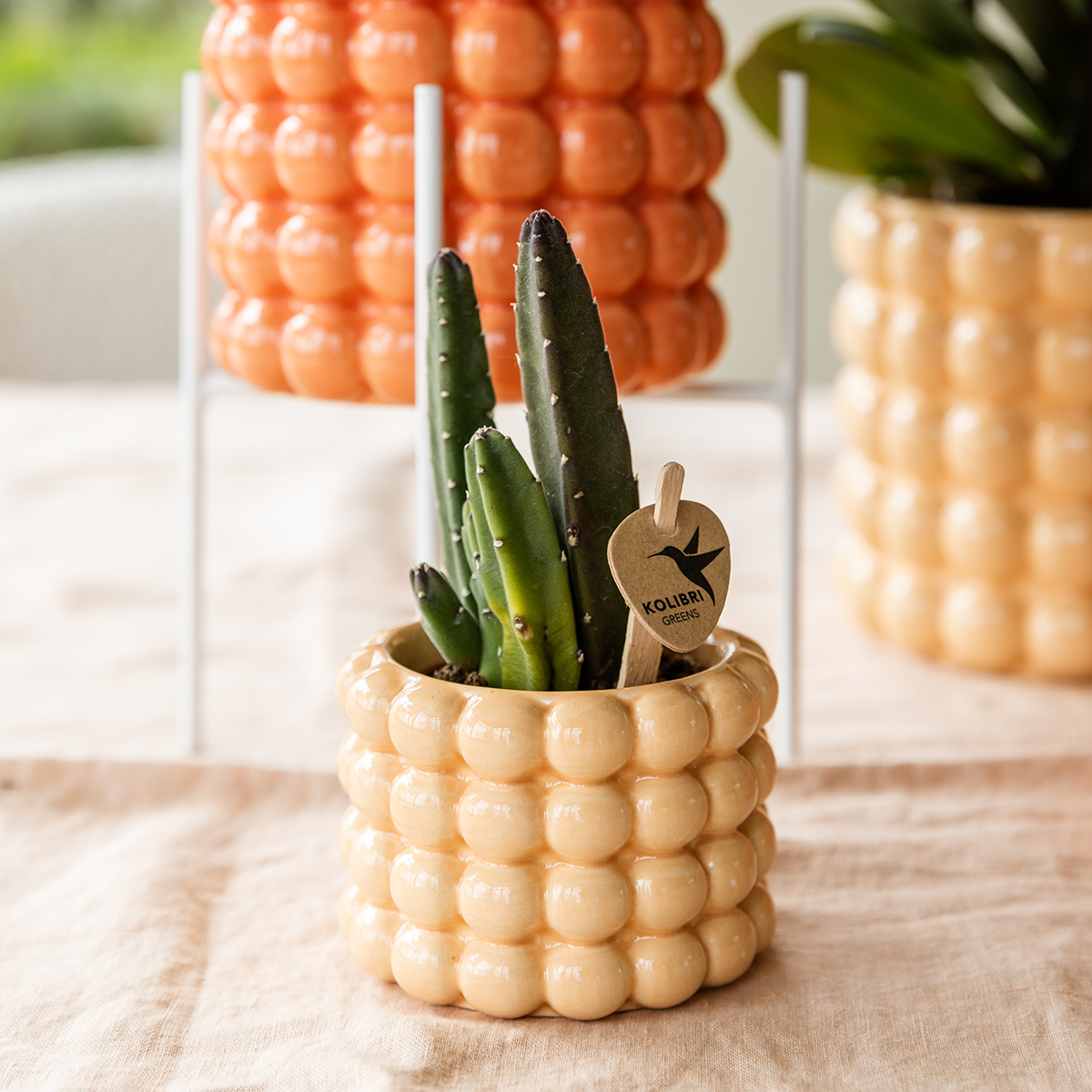 Kolibri Home | Poppy Ziertopf - Peach - Ø6cm